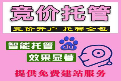 信息流广告推广成功案例深度剖析